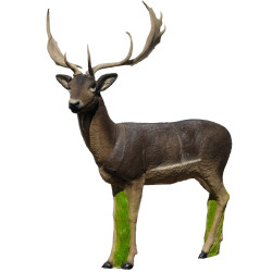 Cible 3D SRT Fallow Deer
