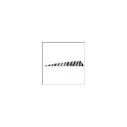 Plumes Gateway Feathers Shield 4" LW