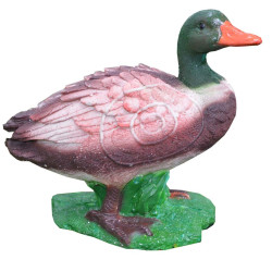 Cible 3D Beier Duck Male groupe 4