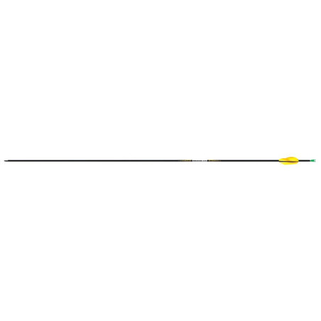 Tube de flèche Easton Aluminum Carbon X10
