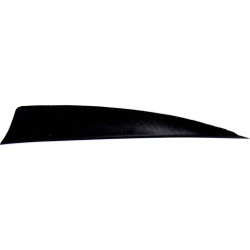 Empennage Avalon Feathers Shield 3" RW