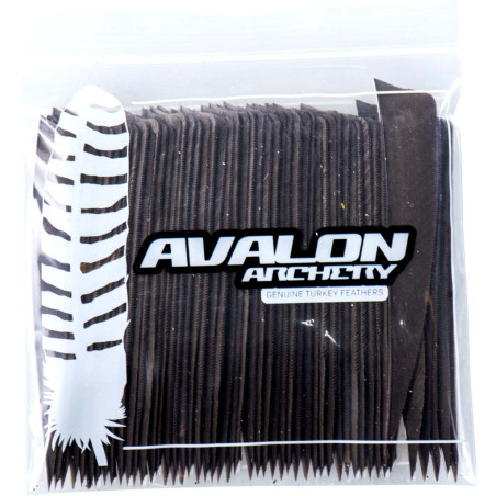 Empennage Avalon Feathers Shield 3" RW – DARK GREY