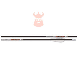 Flèches Easton Vector