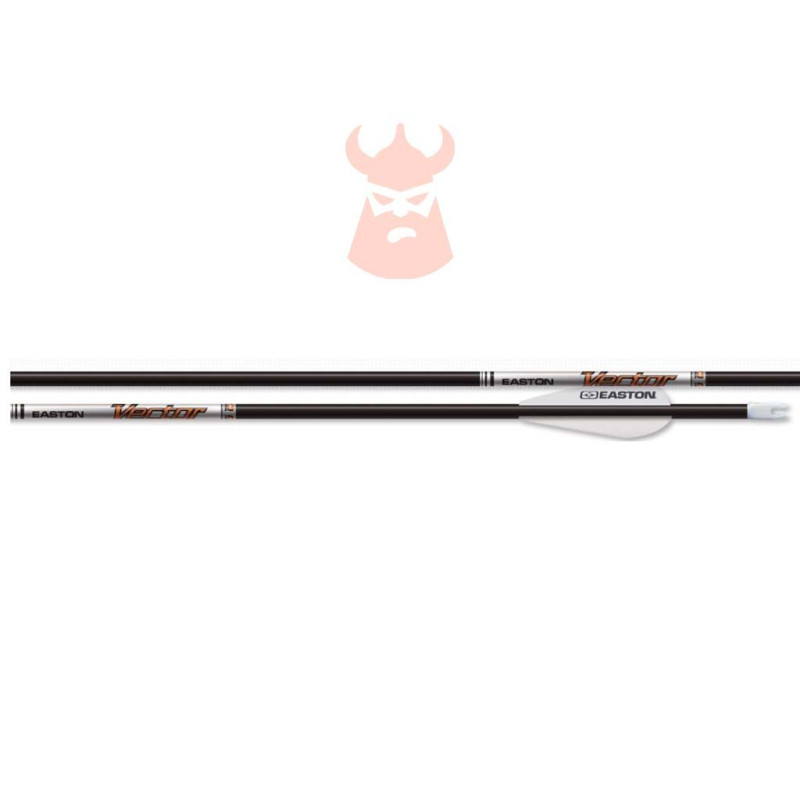 Flèches Easton Vector