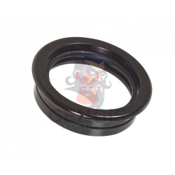 Lentille de viseur Booster Eagle +55 avec holder