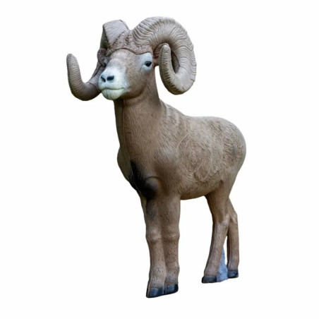 Cible 3D Rinehart Signature Bighorn Sheep ½ Scale