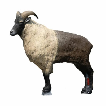 Cible 3D SRT Himalayan Tahr