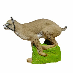 Cible 3D SRT Bobcat