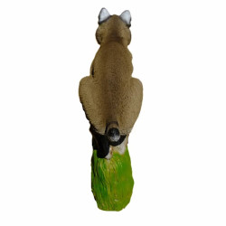 Cible 3D SRT Bobcat