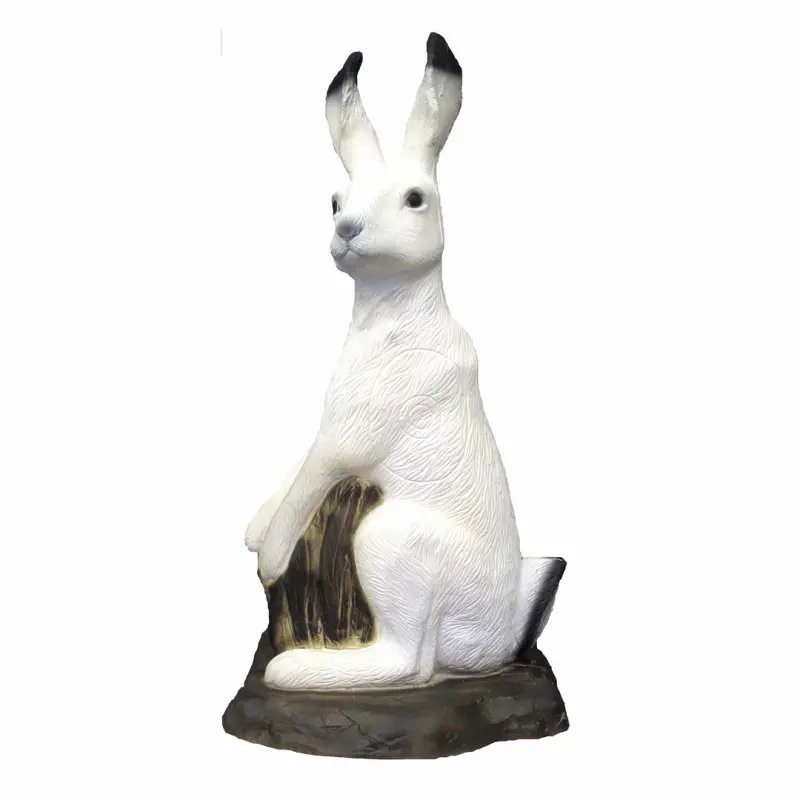 Cible 3D SRT Polar Hare with SFC Inside