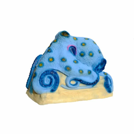 Cible 3D SRT Pandora Octopus