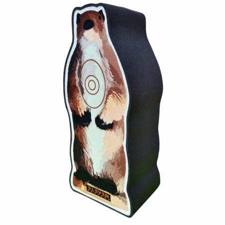 Cible Eleven 2½D Target Whistler