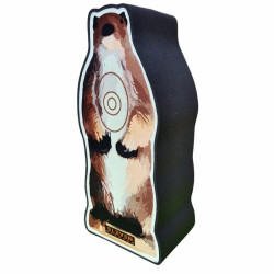 Cible Eleven 2½D Target Whistler