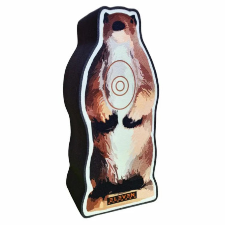 Cible Eleven 2½D Target Whistler