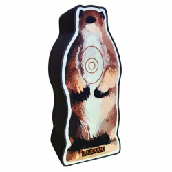 Cible Eleven 2½D Target Whistler
