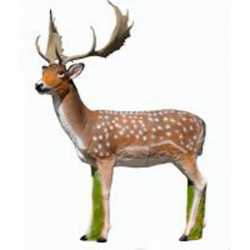 Cible 3D SRT Fallow Deer 2026