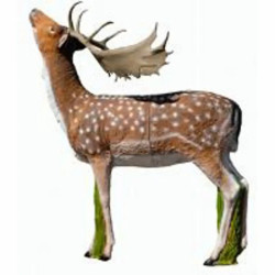 Cible 3D SRT Fallow Deer Grazing 2026