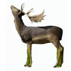 Cible 3D SRT Fallow Deer Melas Grazing 2026