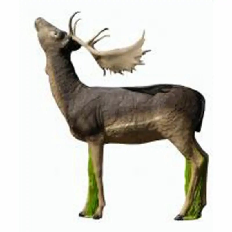 Cible 3D SRT Fallow Deer Melas Grazing 2026