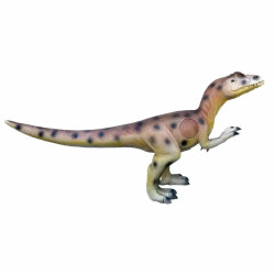 Cible 3D Eleven Allosaurus avec insert
