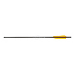 Traits d'arbalète EK Archery 20 pouces Carbone