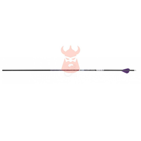Flèches Carbon Express Adrenaline Hot P.90 (lot de 6 avec pointes)