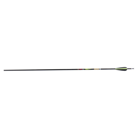 Flèche Sanlida Dragon 9 carbone 6.2 (0.003)