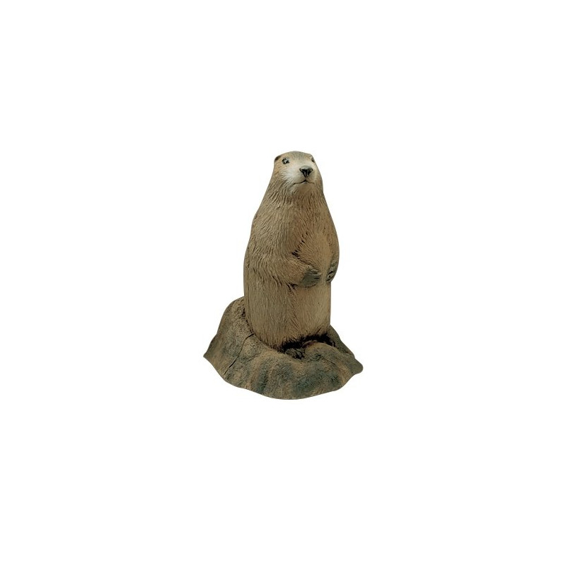 Cible 3D Delta McKenzie Marmotte