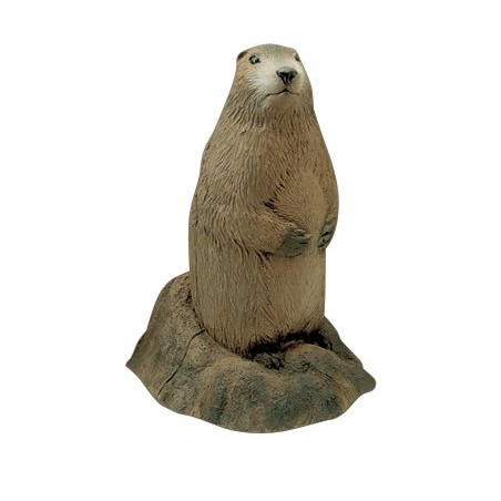 Cible 3D Delta McKenzie Marmotte