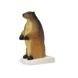 Cible 3D SRT Marmotte