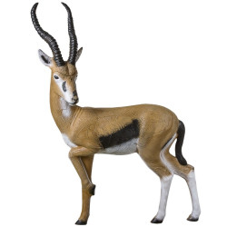 Cible 3D Rinehart 228 Gazelle