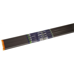 Tube de flèche Cross-X Raptor – 400