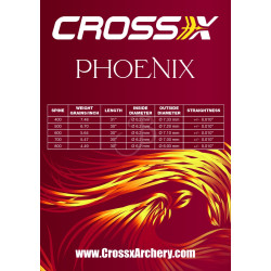 Tube de flèche Cross-X Phoenix – 400