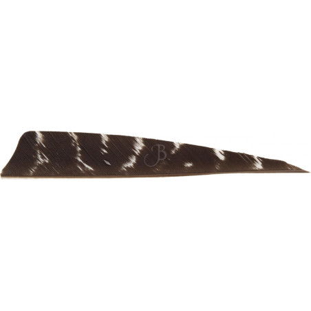 Empennage Cross-X Plumes Nat. 4' SH Barred - lot de 50 – BLACK