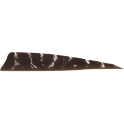 Empennage Cross-X Plumes Nat. 4' SH Barred - lot de 50 – BLACK