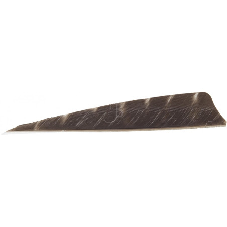 Empennage Cross-X Plumes Nat. 4' SH Barred - lot de 50 – BLACK