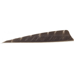 Empennage Cross-X Plumes Nat. 4' SH Barred - lot de 50 – BLACK
