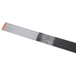Tube de flèche Cross-X Ambition SE+ – 500
