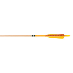 Flèches Rose City Hunter Elite – 5/16' 50