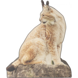 Blason Booster MFT 2D Lynx Photo 17mm