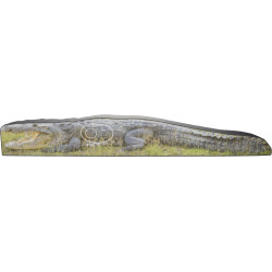 Blason Booster MFT 2D Crocodile Photo 17 mm