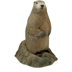 Cible 3D Delta McKenzie Marmotte
