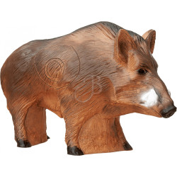 Cible 3D C.point Sanglier