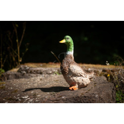 Cible 3D C.Point Canard De Bout