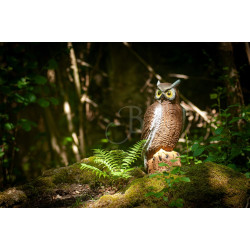 Cible 3D C.Point Hibou