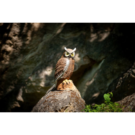 Cible 3D C.Point Hibou