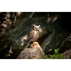 Cible 3D C.Point Hibou