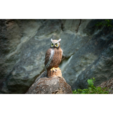 Cible 3D C.Point Hibou