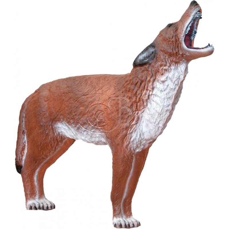 Cible 3D C.point Coyote