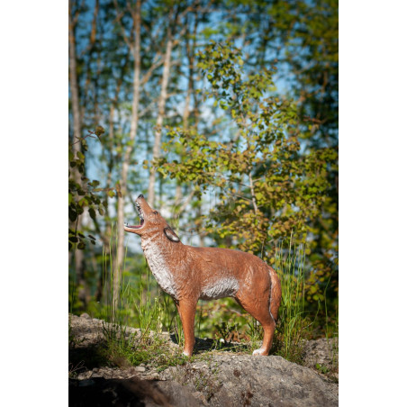 Cible 3D C.point Coyote
